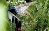 Туры в отель San Signature - Suoi Ngoc Retreat