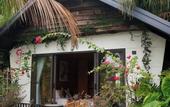 Туры в отель San Signature - Suoi Ngoc Retreat