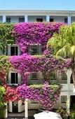 Туры в отель The Winchester Hotel by NEWMARK