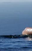 Туры в отель Atlanticview Cape Town Boutique Hotel