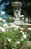 Туры в отель Purple Olive Guest House