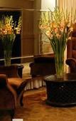 Туры в отель Manhattan Hotel