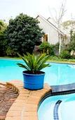 Туры в отель OR Tambo Guest House