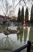 Туры в отель aha Kopanong Hotel & Conference Centre