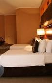 Туры в отель aha Kopanong Hotel & Conference Centre