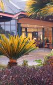 Туры в отель aha Kopanong Hotel & Conference Centre