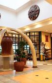 Туры в отель aha Kopanong Hotel & Conference Centre