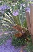 Туры в отель Constantia Manor Guest House