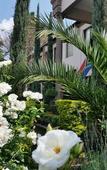 Туры в отель Constantia Manor Guest House