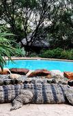 Туры в отель Aquanzi Lodge