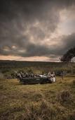 Туры в отель Leopard Mountain Safari Lodge