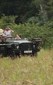 Туры в отель Leopard Mountain Safari Lodge