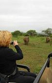 Туры в отель Leopard Mountain Safari Lodge
