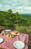 Туры в отель Leopard Mountain Safari Lodge
