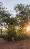 Туры в отель Leopard Mountain Safari Lodge