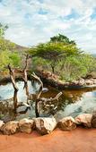 Туры в отель Leopard Mountain Safari Lodge