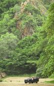 Туры в отель Leopard Mountain Safari Lodge