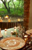 Туры в отель Leopard Mountain Safari Lodge