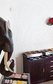 Туры в отель Bizafrika Guest Lodge & Conference Center
