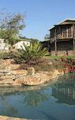 Туры в отель SpionKop Lodge