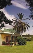 Туры в отель SpionKop Lodge