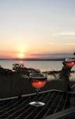 Туры в отель SpionKop Lodge