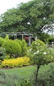 Туры в отель Nauntons Guest House