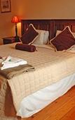 Туры в отель Nottingham Road Hotel