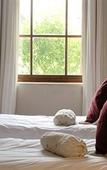 Туры в отель Nottingham Road Hotel
