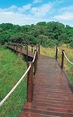 Туры в отель Makakatana Bay Lodge
