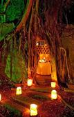 Туры в отель Makakatana Bay Lodge