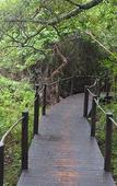 Туры в отель Makakatana Bay Lodge