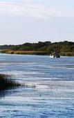 Туры в отель Makakatana Bay Lodge