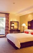 Туры в отель Premier Hotel Pretoria