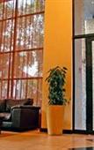 Туры в отель Premier Hotel Pretoria