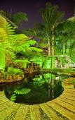 Туры в отель Premier Hotel Pretoria
