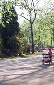 Туры в отель Merry Pebbles Resort & Caravan Park