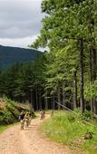 Туры в отель Merry Pebbles Resort & Caravan Park