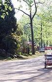 Туры в отель Merry Pebbles Resort & Caravan Park