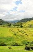 Туры в отель Premier Resort Sani Pass