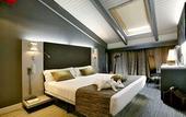 Туры в отель Petit Palace Plaza Espana