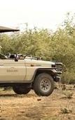 Туры в отель Rhulani Safari Lodge