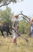 Туры в отель Rhulani Safari Lodge