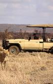 Туры в отель Rhulani Safari Lodge