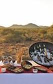 Туры в отель Rhulani Safari Lodge