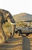 Туры в отель Rhulani Safari Lodge