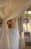 Туры в отель Rhulani Safari Lodge
