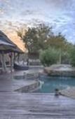 Туры в отель Rhulani Safari Lodge