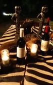 Туры в отель Rhulani Safari Lodge