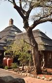 Туры в отель Rhulani Safari Lodge